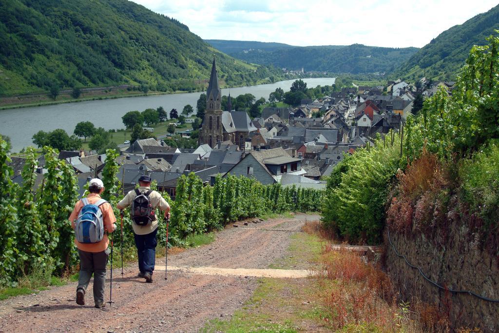 Wein- Und Gaestehaus St. Aldegundishof Sankt Aldegund Exterior foto
